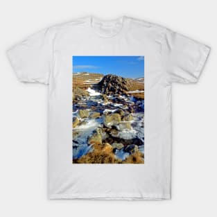 Cold Morning on the Mountainside T-Shirt